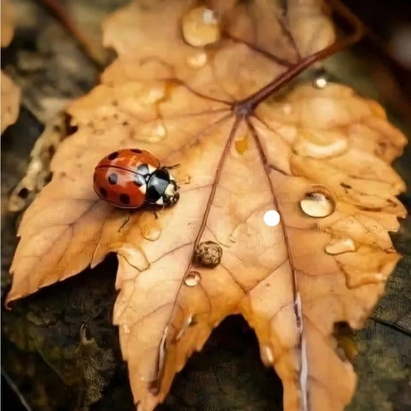 Handmade Jewelry - See My Boutique - Picture 4 of 10